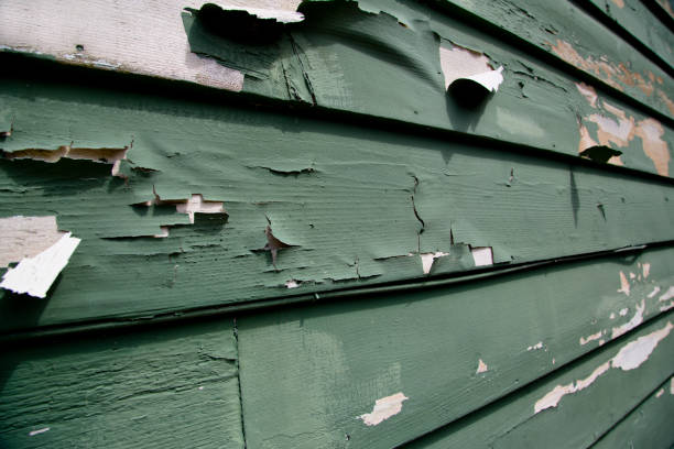 Best Fascia and Soffit Installation  in Forest, OH