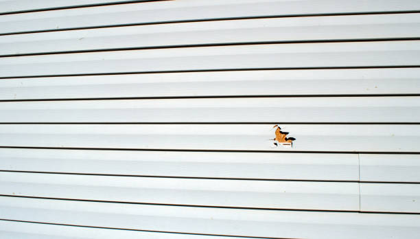 Best Storm Damage Siding Repair  in Forest, OH