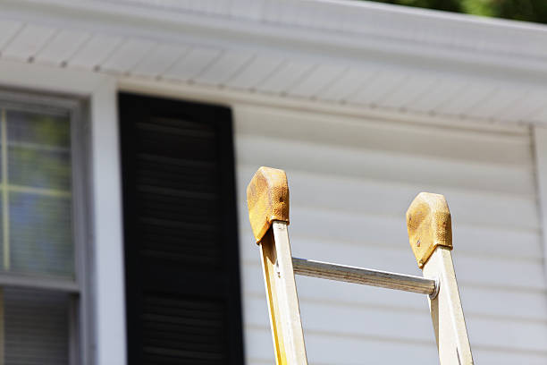Best Aluminum Siding Installation  in Forest, OH